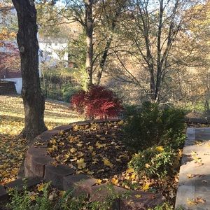 Meet your Posher, Blake